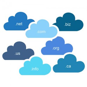 Domain Name Registration